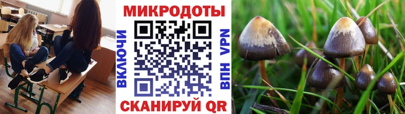 Купить закладки  Шумерля  Галлюциногенные грибы мицелий 